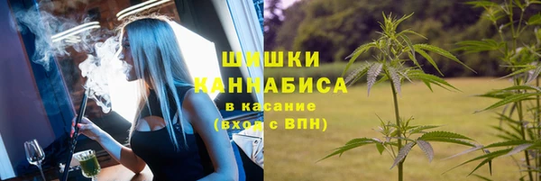 СК Володарск
