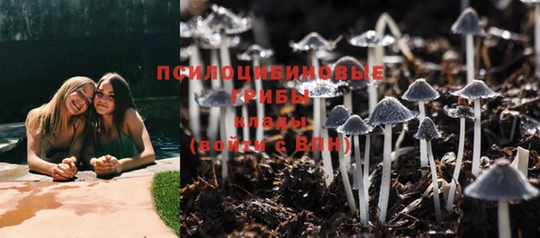 a pvp Верхний Тагил