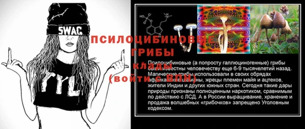 мяу мяу мука Волоколамск