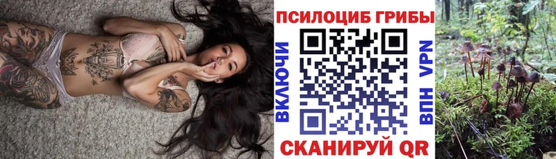 продажа наркотиков  Демидов  Галлюциногенные грибы прущие грибы 